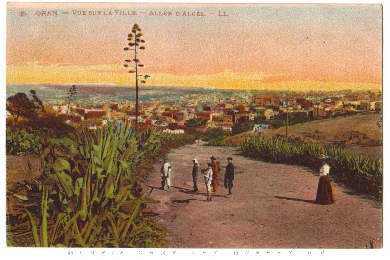 040  VUE SUR LA VILLE.JPG